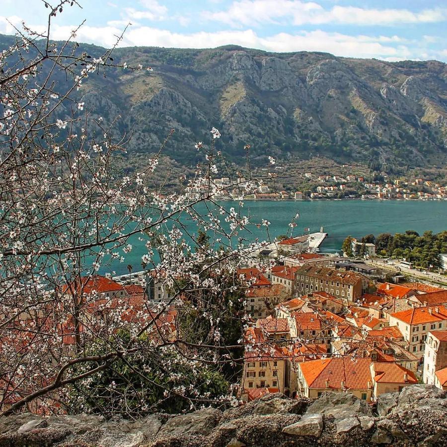 Old Town Kotor Square Apartment Bagian luar foto